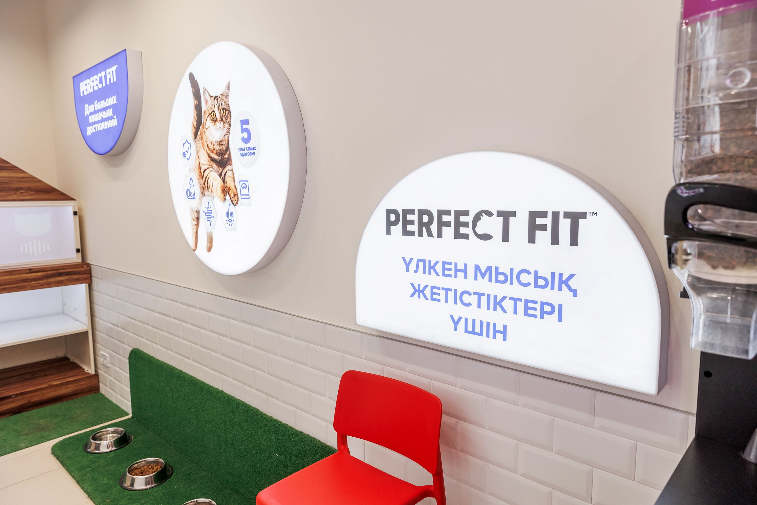 Жануарлар аймағы